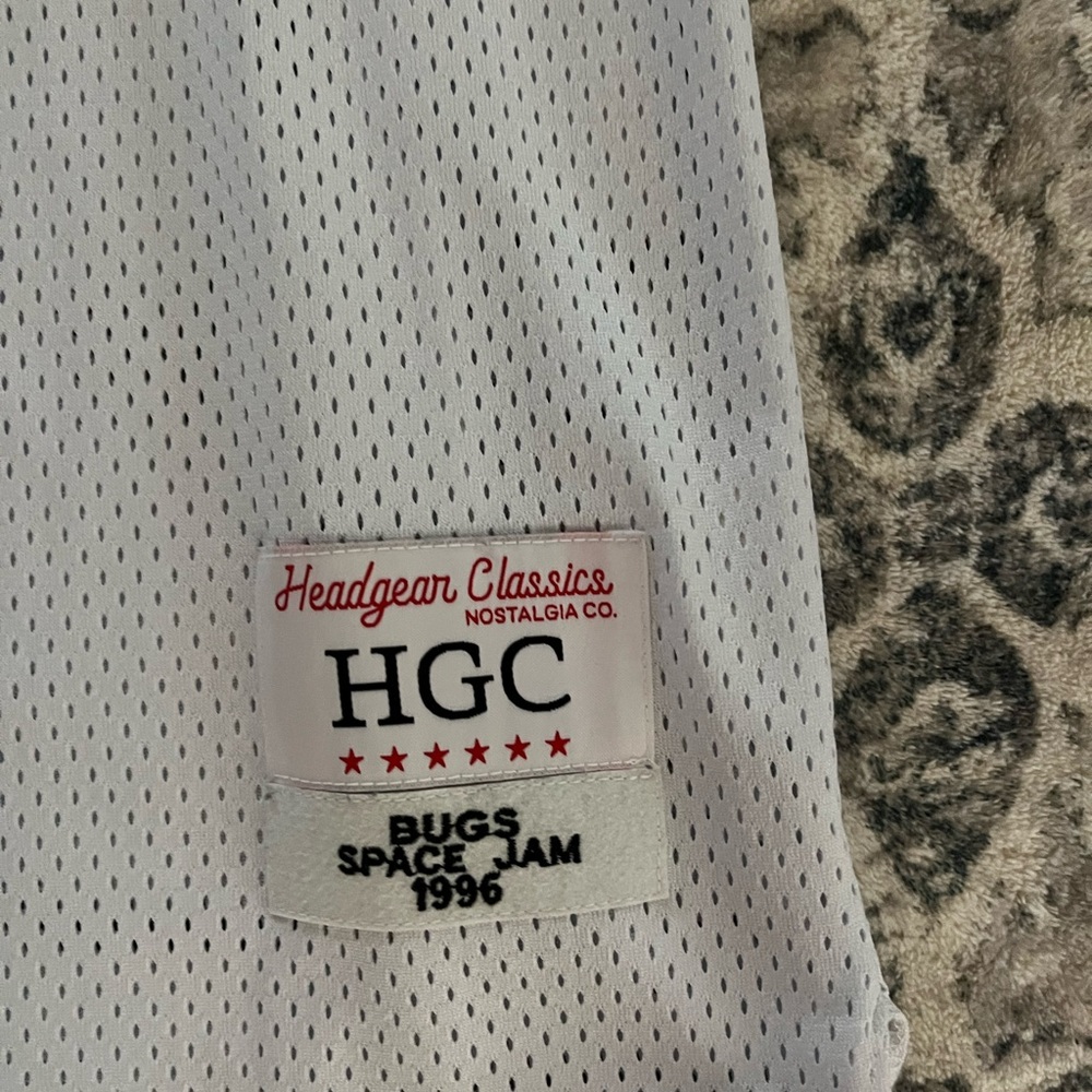 Space Jam Jersey View 2